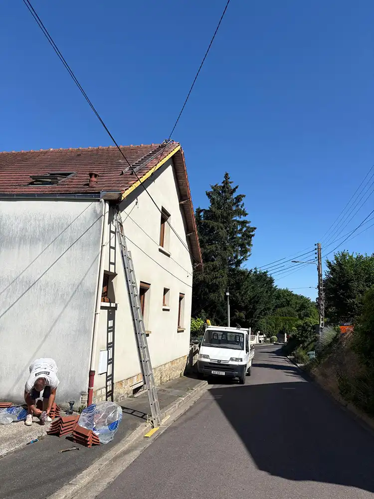 Décapage anti mousse Verneuil-sur-Seine 78480