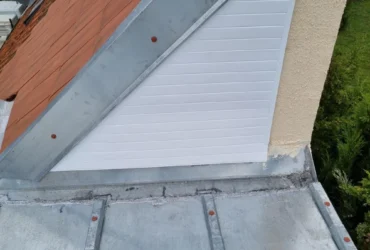 Démolition et extension complète Poissy Poissy 78300 - photo 39